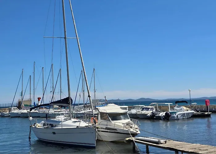 Grand Aux Salins - Climatisation - Terrasse - 90m De La * 耶尔